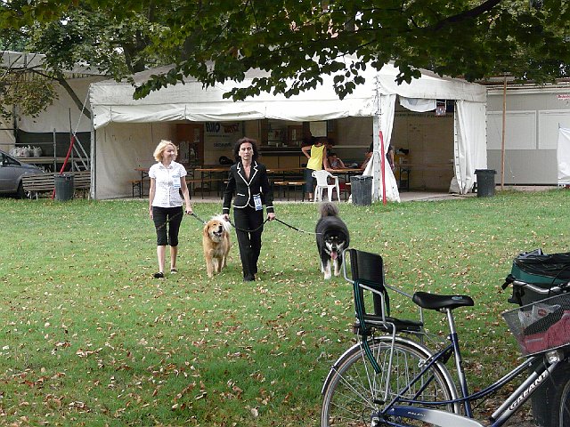 img 033.jpg